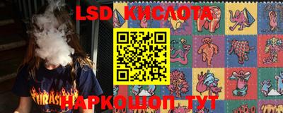 крисы Партизанск