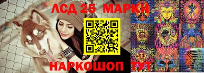 крисы Партизанск