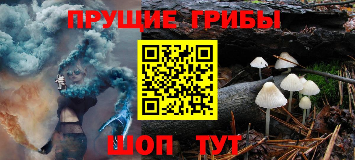 Омск  Псилоцибиновые грибы мицелий  Вход с VPN  даркнет сайт  Галлюциногенные грибы Psilocybine cubensis 